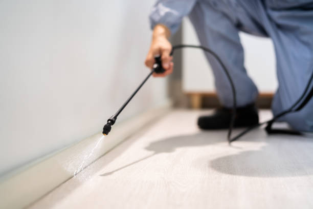 Licensed Pest Control service in Terrell, TX - Show Me Pest Control