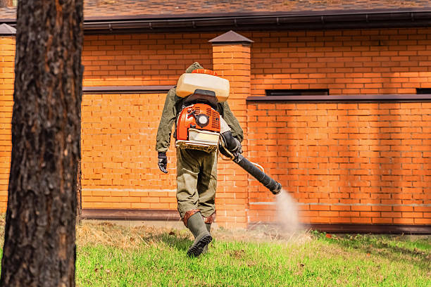 Bed Bug Clearance Verification and Documentation in Terrell
